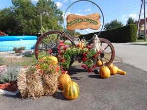 Najlepše urejena domačija na temo jesen in buče 2